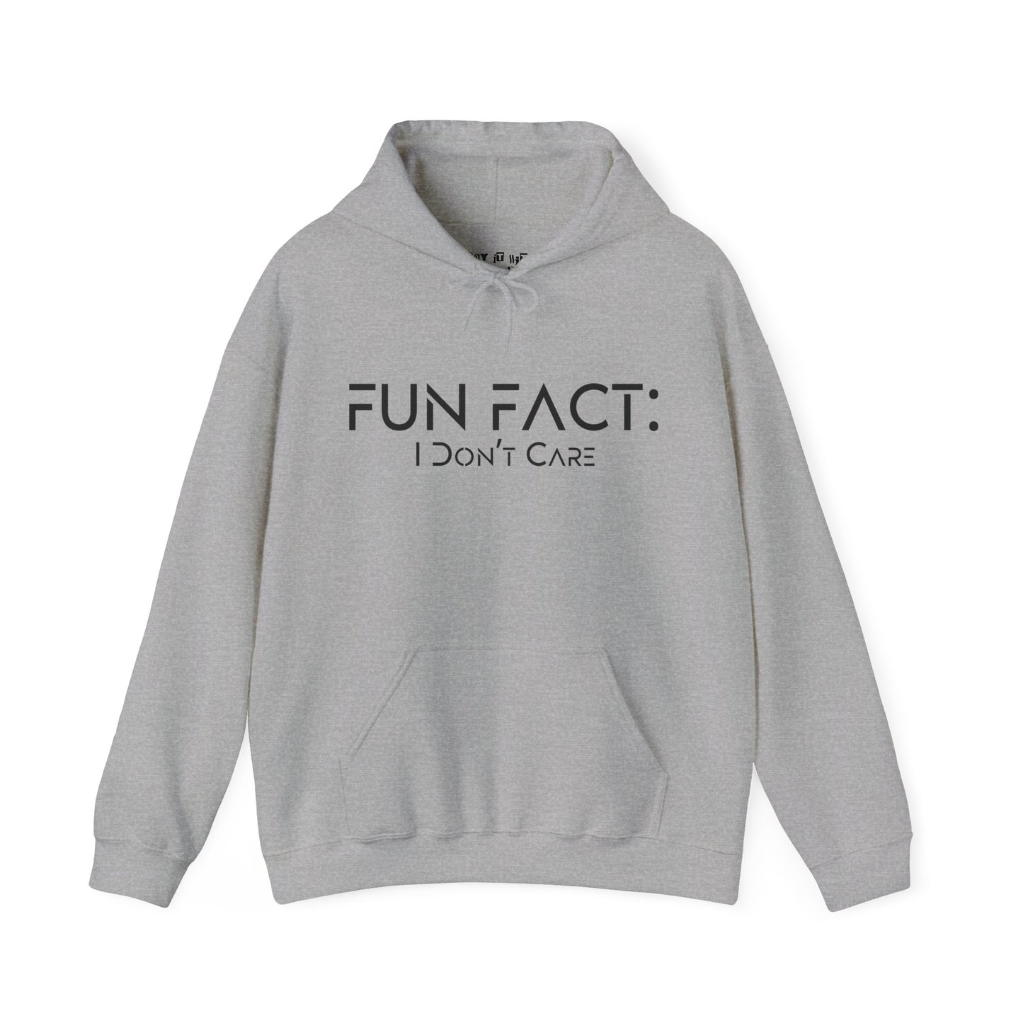 Fun Fact: I Don't Care Hoodie
