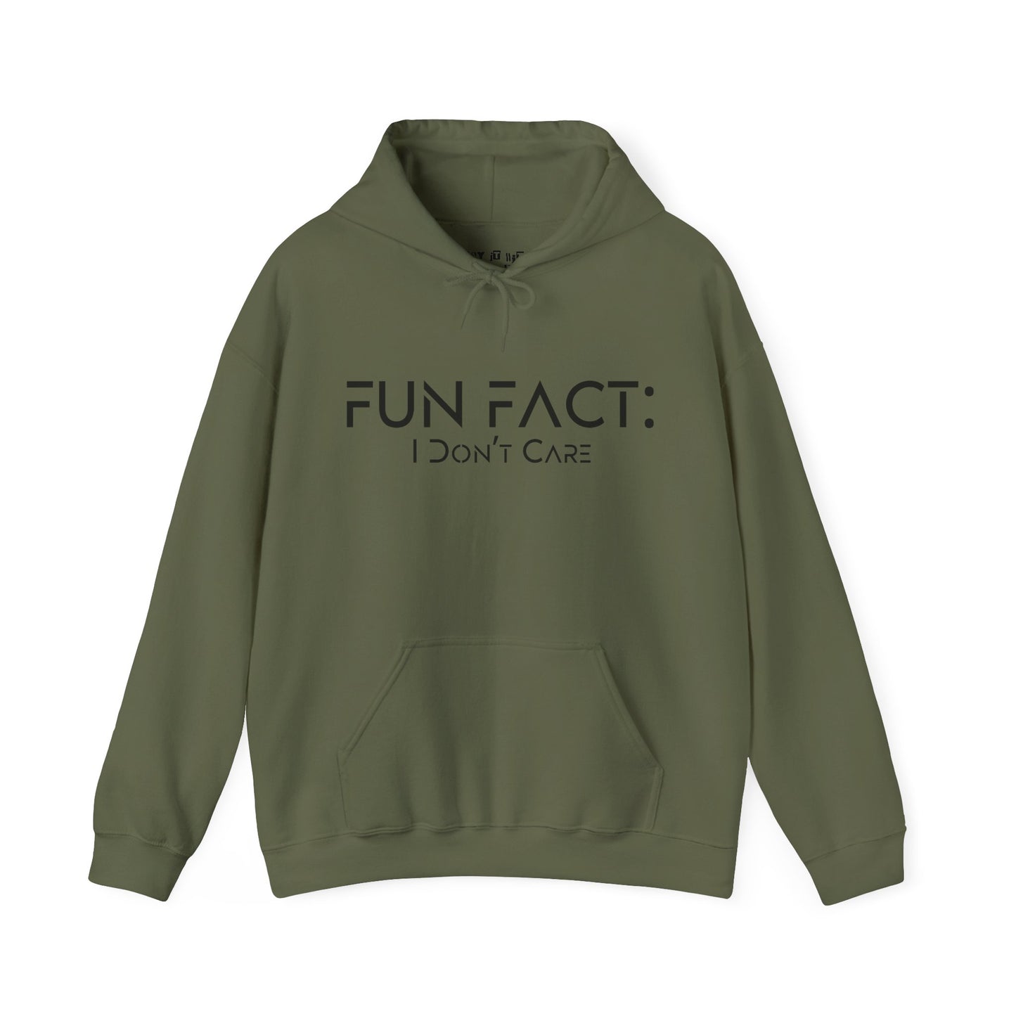 Fun Fact: I Don't Care Hoodie