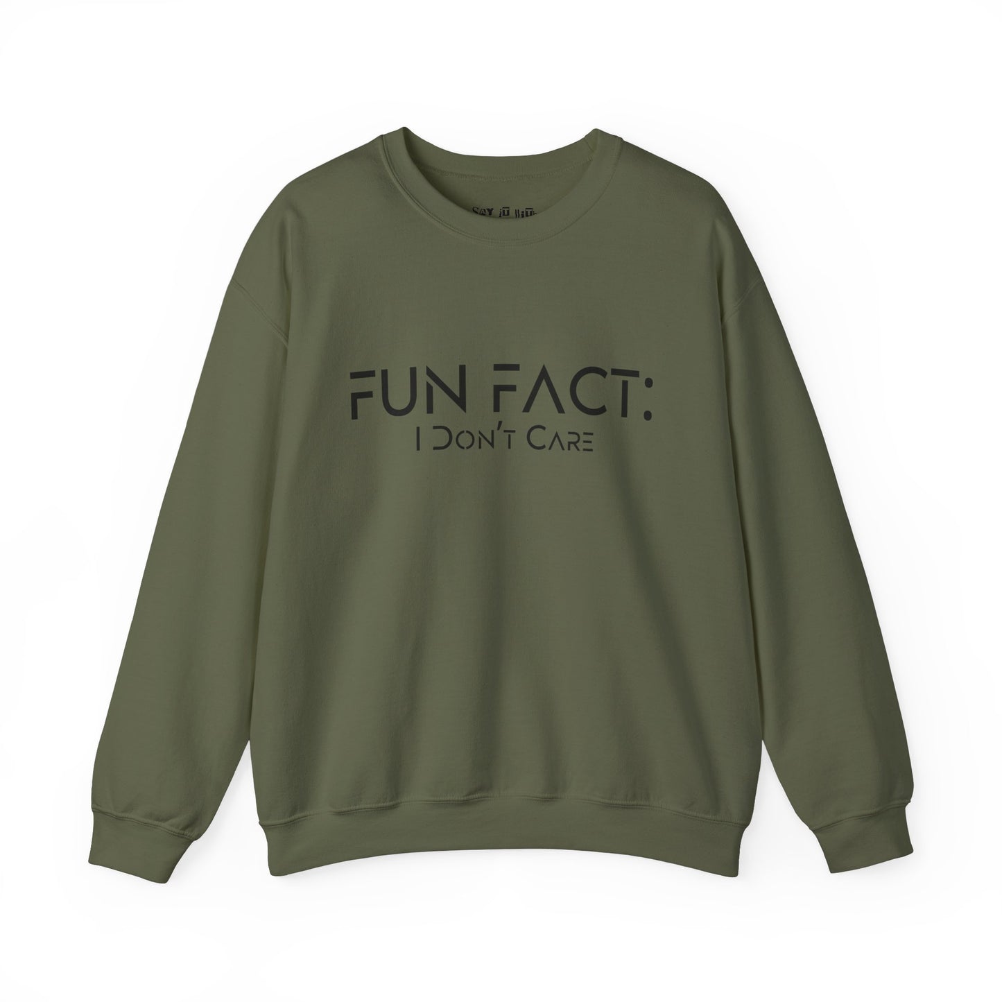 Fun Fact: I Don't Care Sweatshirt
