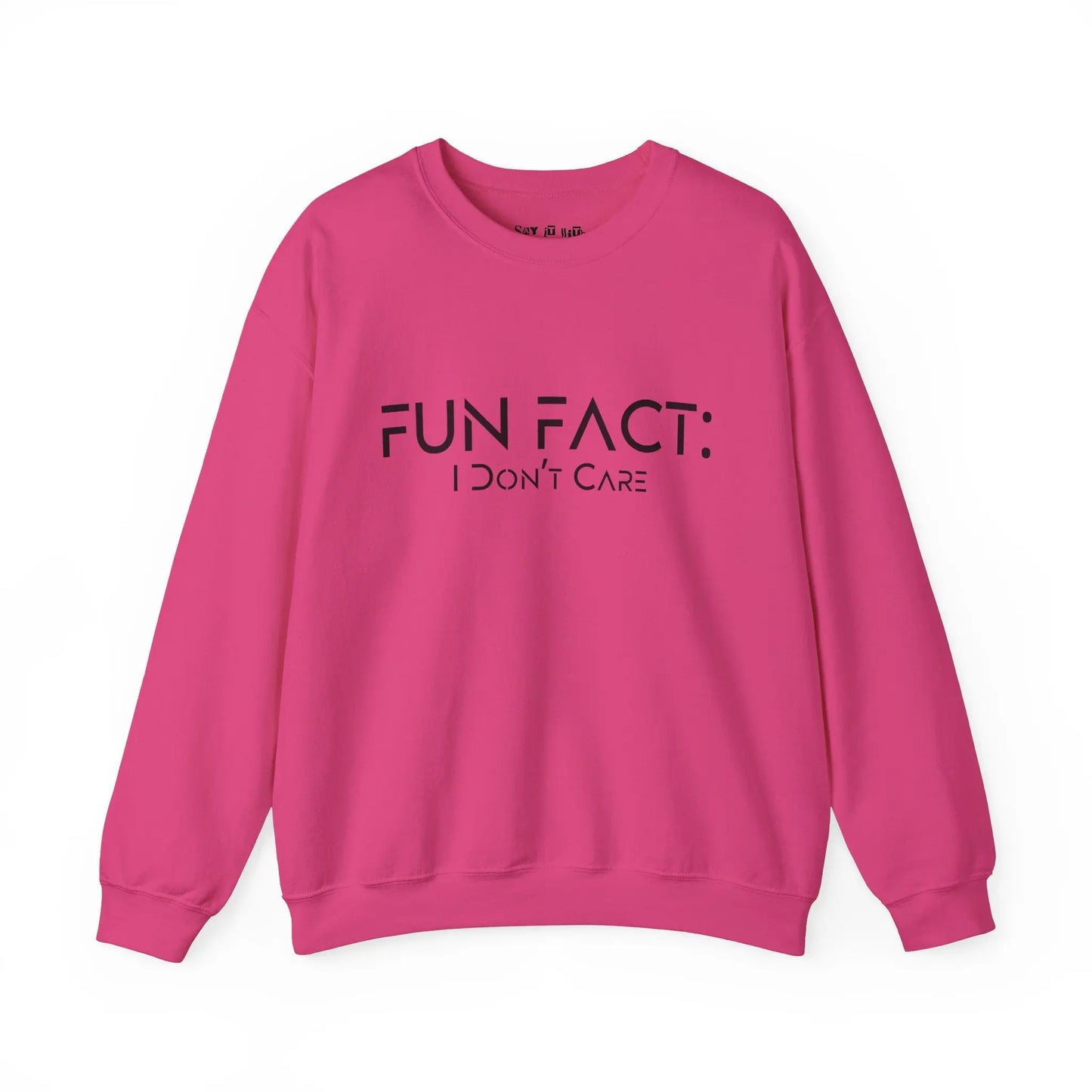 Fun Fact: I Don't Care Sweatshirt Printify