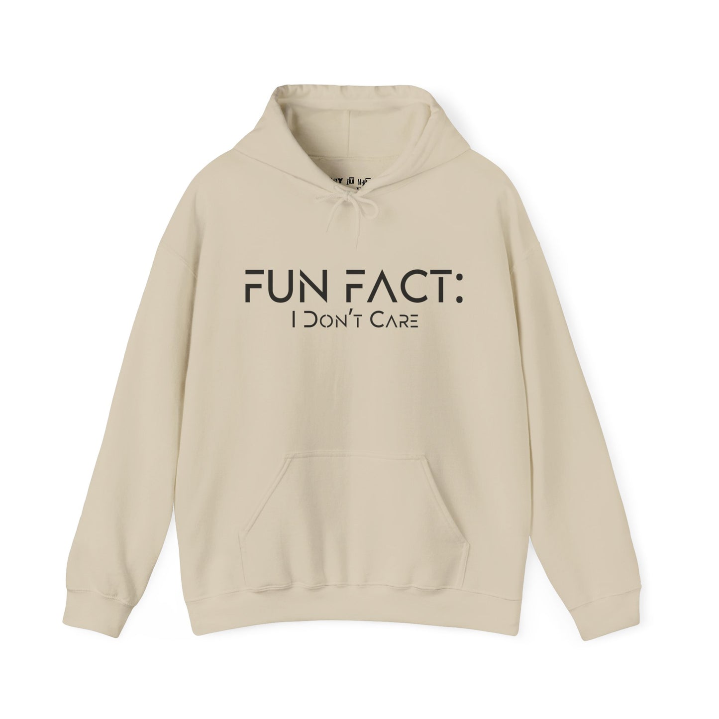 Fun Fact: I Don't Care Hoodie