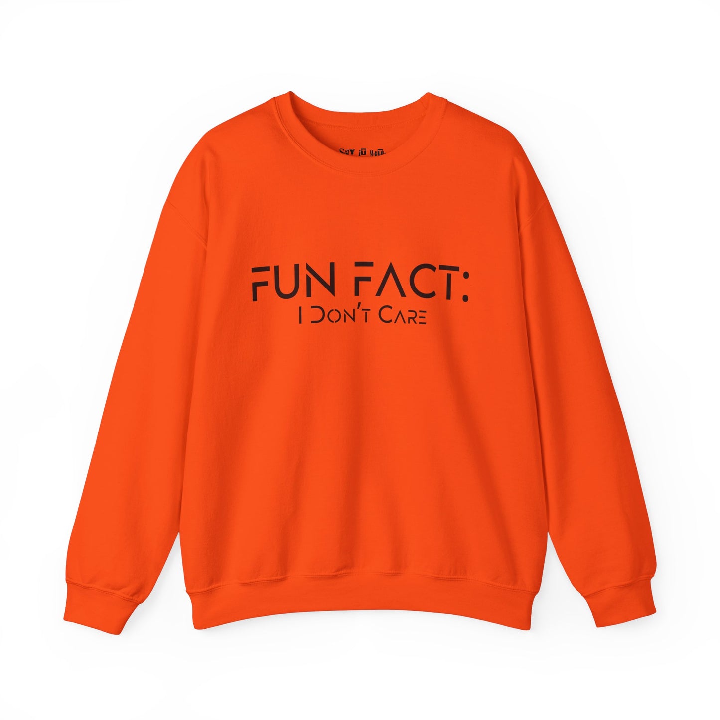 Fun Fact: I Don't Care Sweatshirt