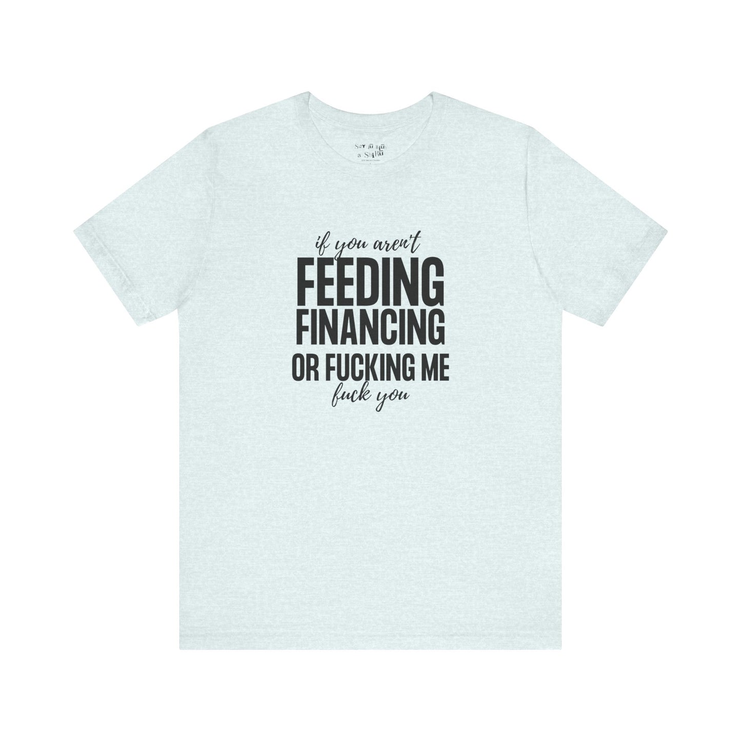 If You Aren't Feeding, Financing or Fu**ing Me , F**k You Tee Shirt