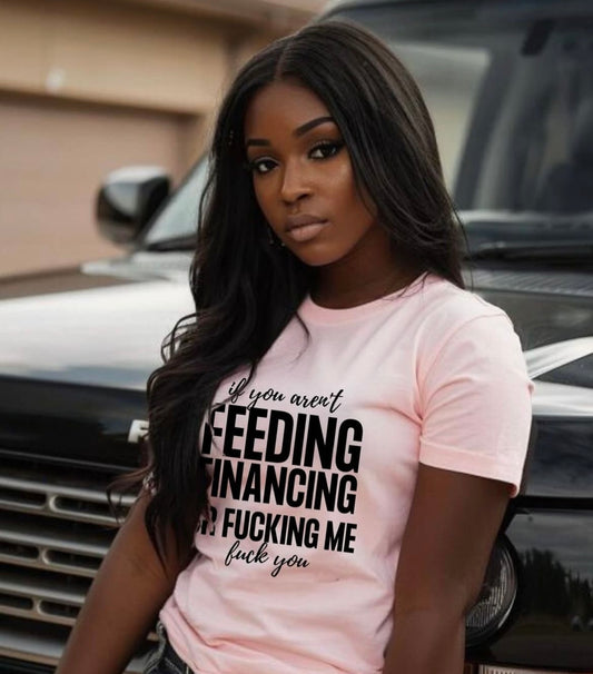 If You Aren't Feeding, Financing or Fu**ing Me , F**k You Tee Shirt